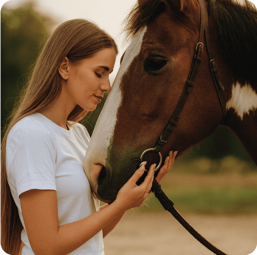 Equine-Assisted wellness