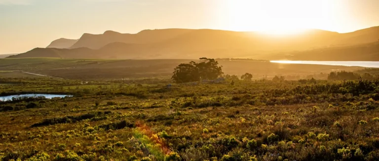 The sun setting over fynbos and low hills in the Overberg, Western Cape