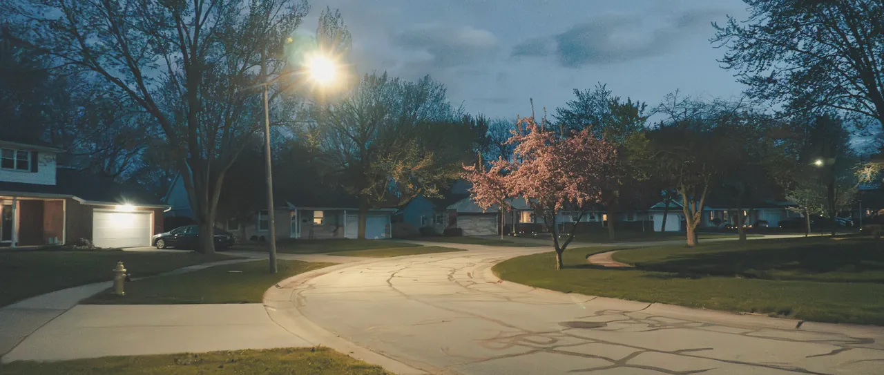 A quiet residential street at dusk under a single streetlamp, with houses and a flowering tree