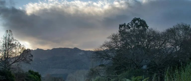 A quiet green path through trees with a mountain and low cloud in the distance