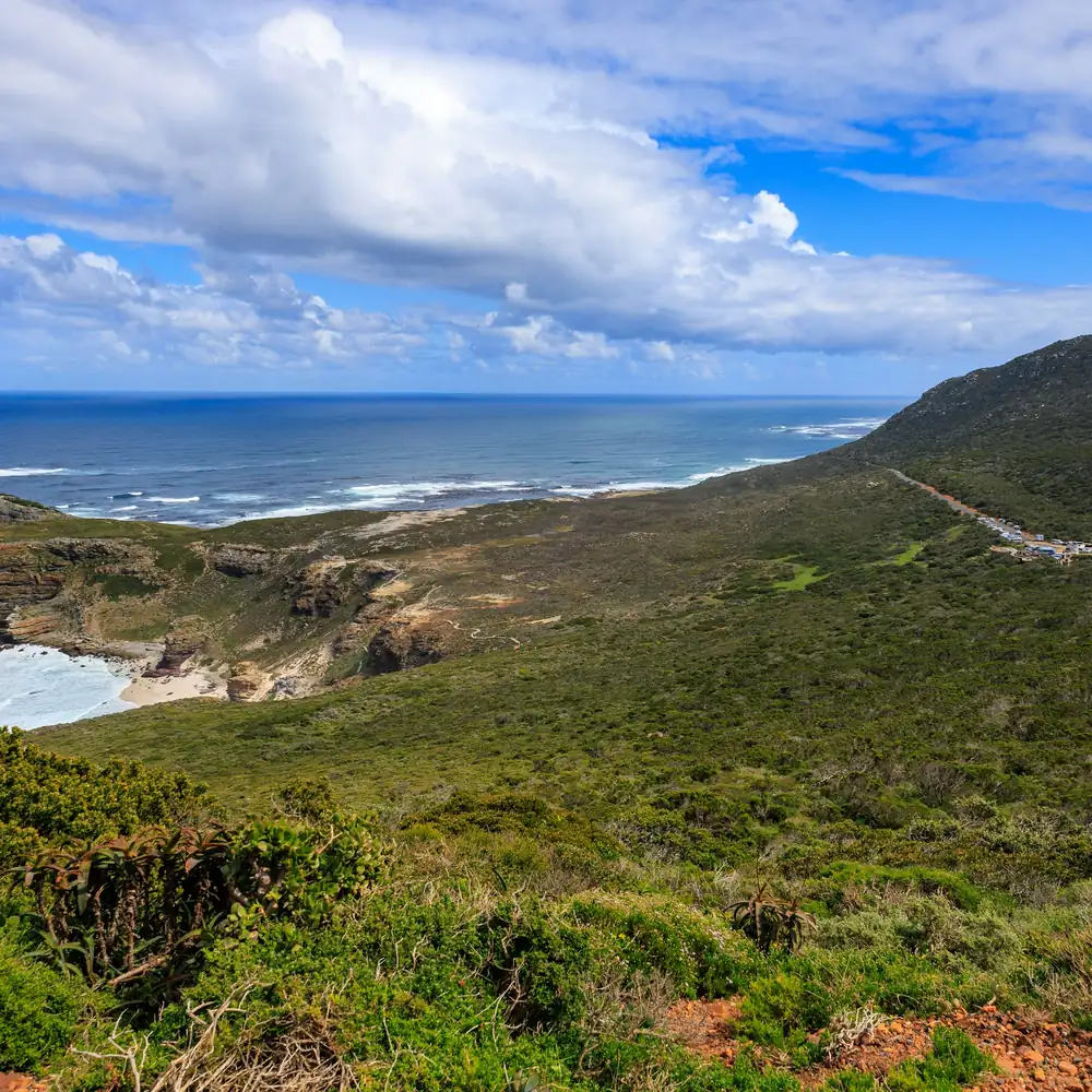 Green headland and blue ocean at Cape Point under a bright sky, Cape Peninsula