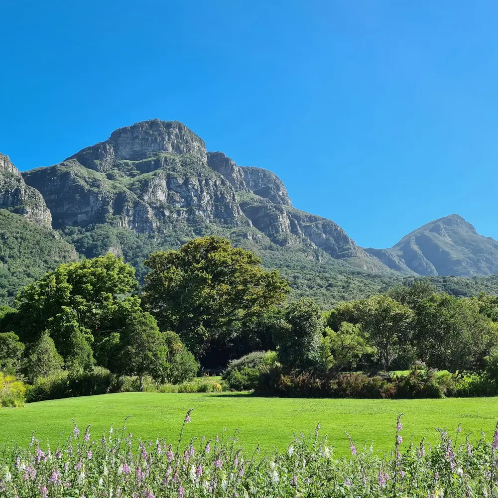 A green lawn and tall trees below a mountain under a clear blue sky