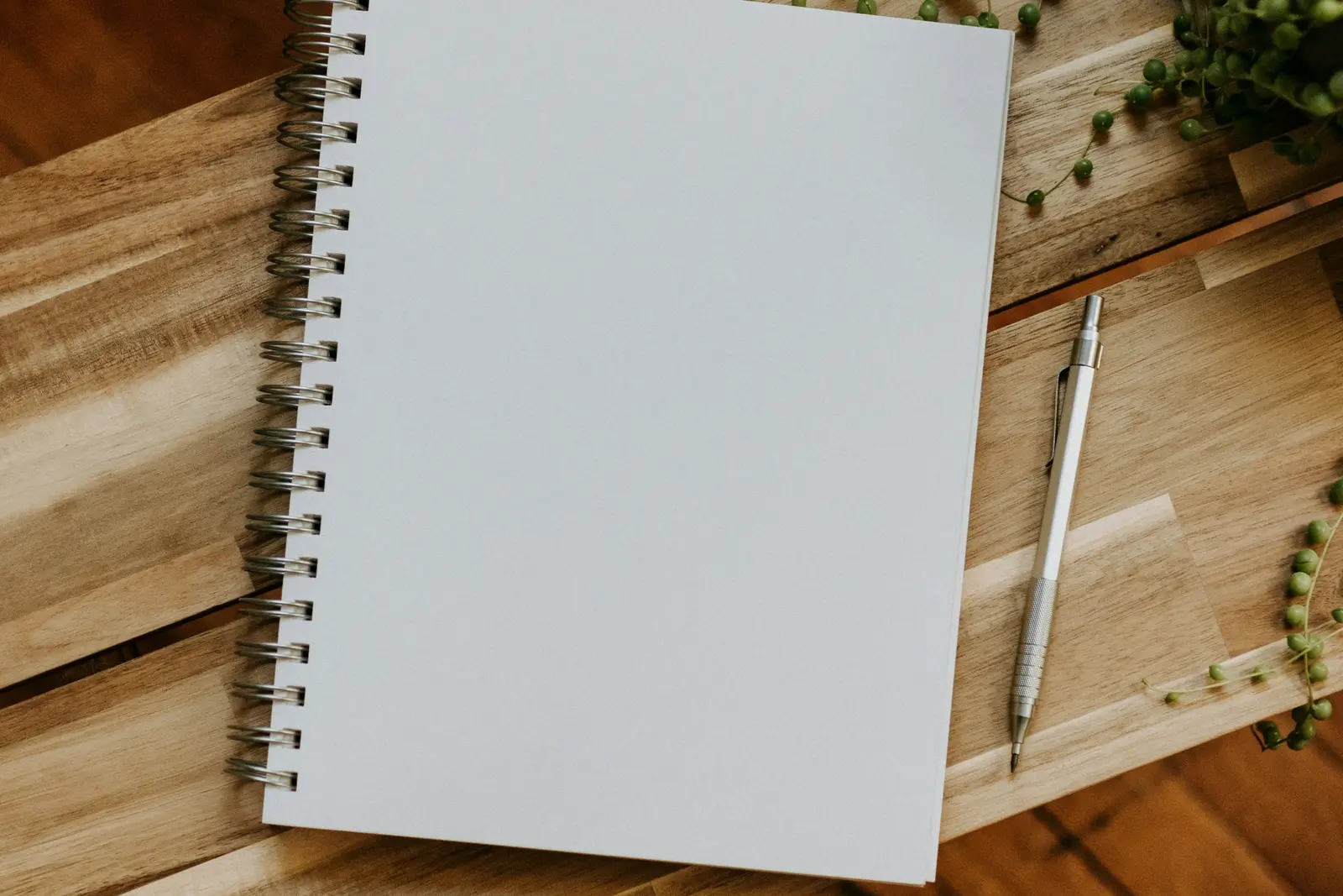 A blank notebook and a pen on a wooden table, with a trailing plant beside it
