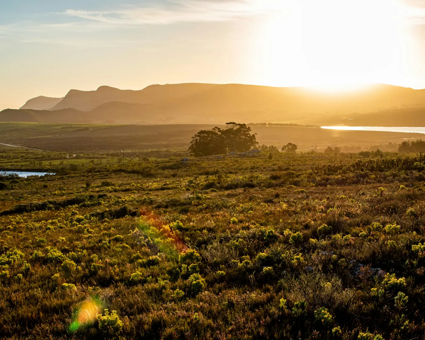 Golden evening light over fynbos, low hills and a lagoon in the Overberg in the Western Cape