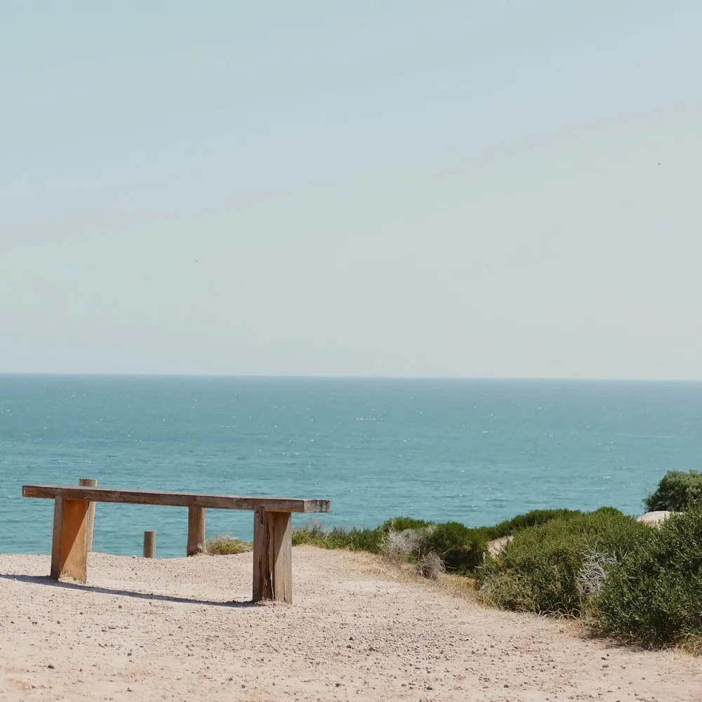 Executive Burnout & Wellness