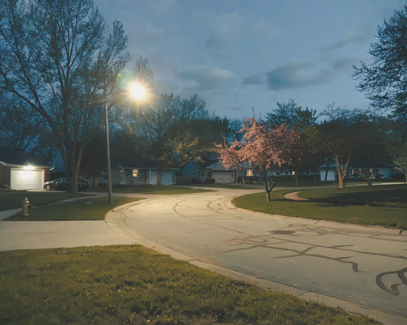 A quiet residential street at dusk, a streetlamp lit under bare trees and a flowering tree, with houses and a lit garage in the background
