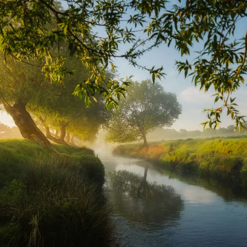 A slow river reaching between grassy banks and willow trees on a bright spring morning, sunlight and mist through the leaves