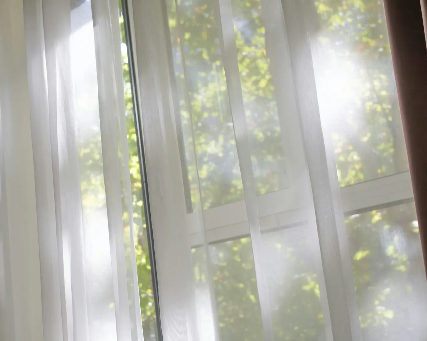 Sheer white curtains at a sunlit window, with green leaves blurred behind the glass