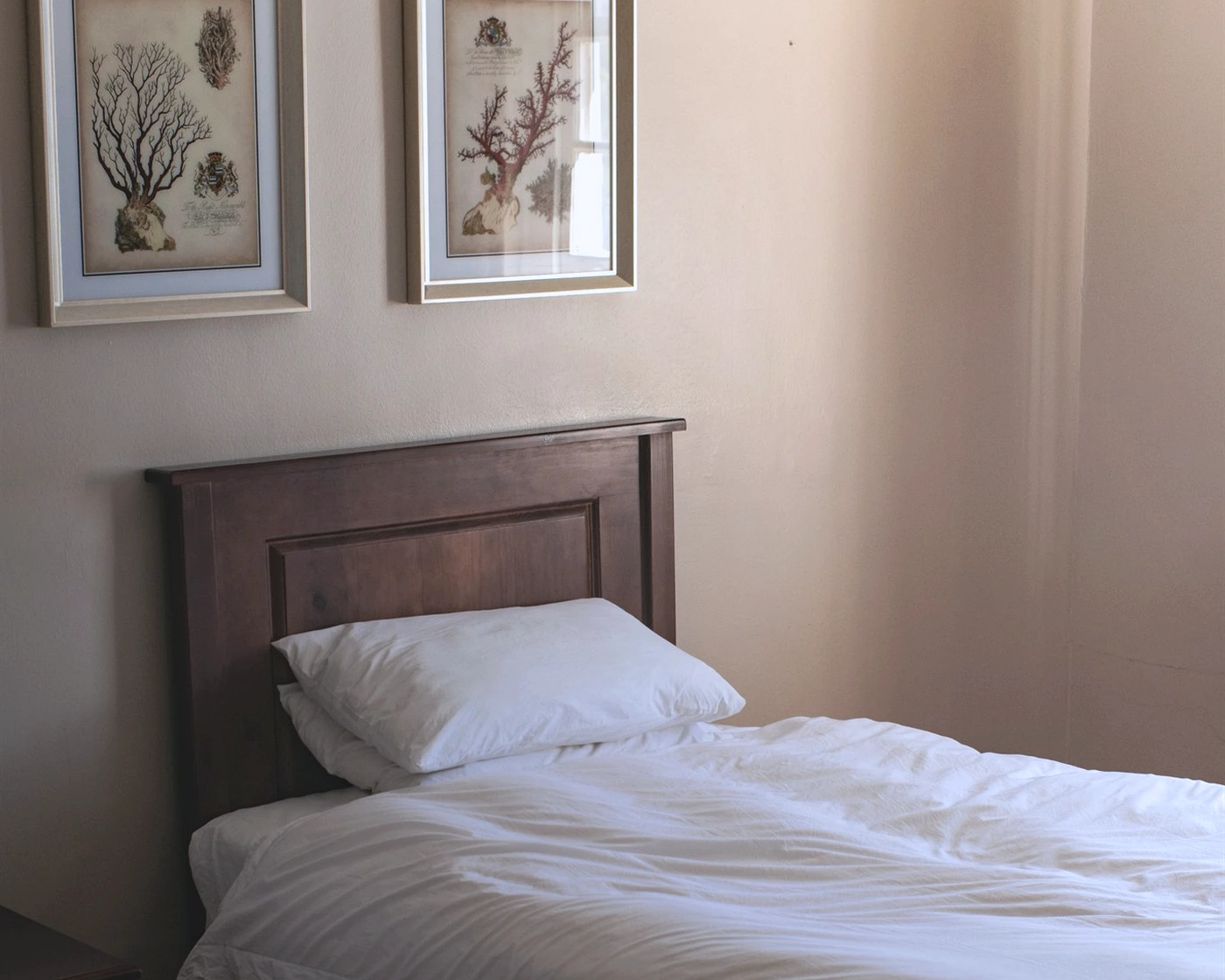A single bed with a dark wood headboard and white linen in a quiet room lit by late afternoon sun
