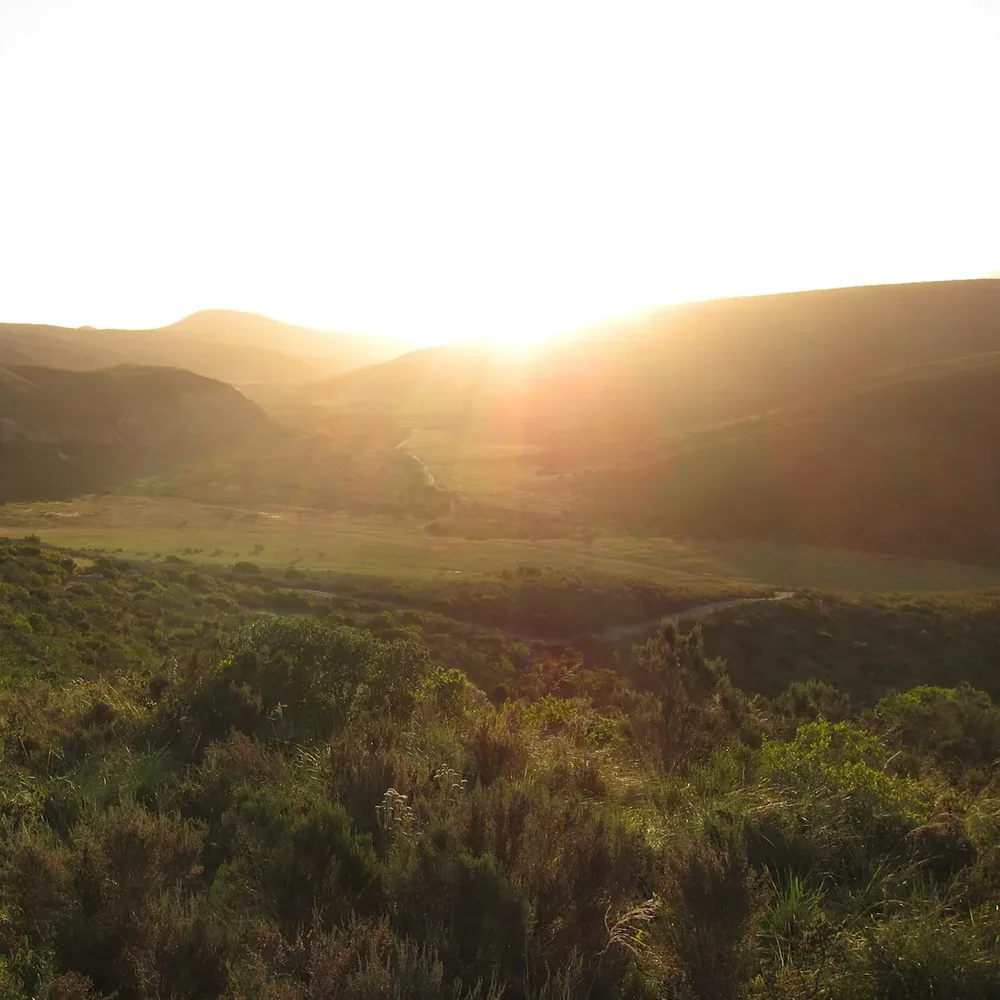 Sunlight breaking over a green valley and hills, low bushes in the foreground catching the morning light