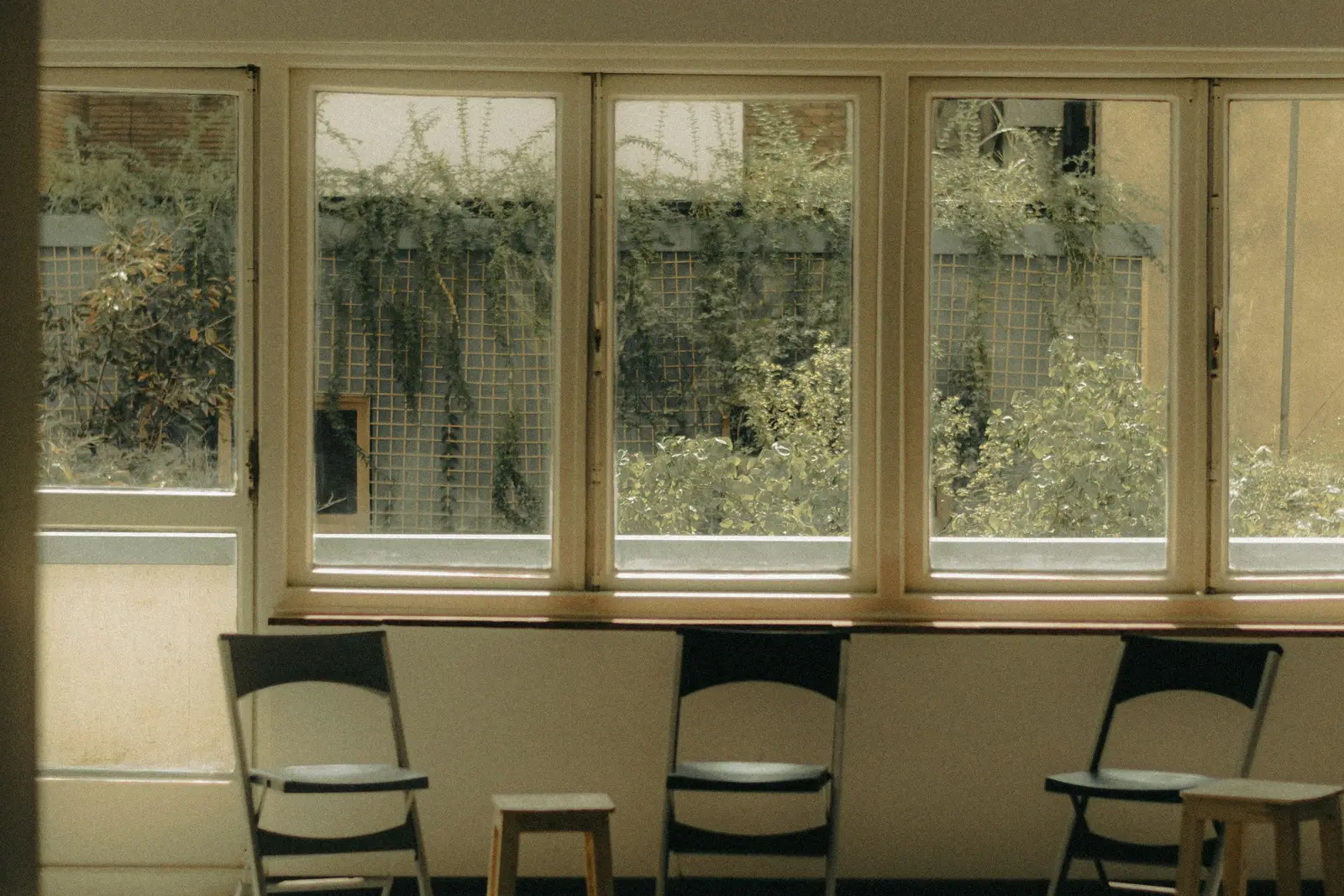 Empty folding chairs in a bright room, with plants visible through the windows behind