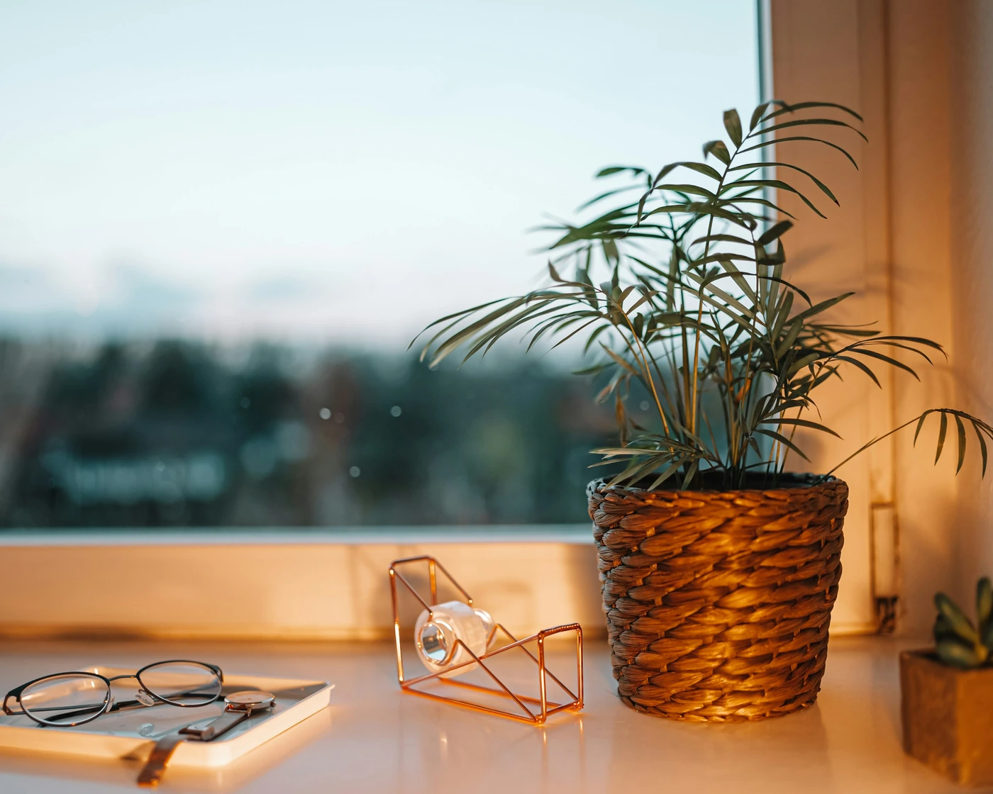 Warm window light on a potted palm, glasses on a notebook and a small plant on a windowsill