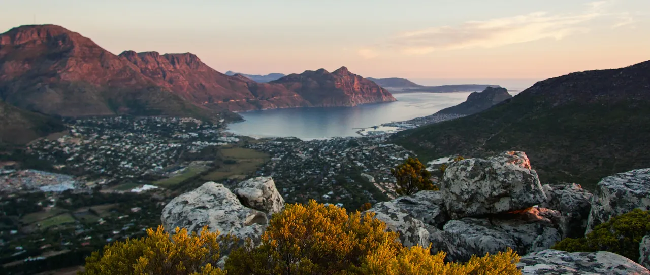 Evening light over a bay and a coastal town below a rocky mountain, with fynbos in the foreground