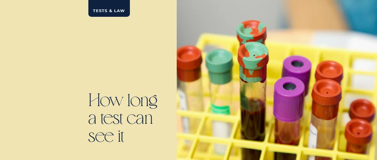 Clear glass test tubes