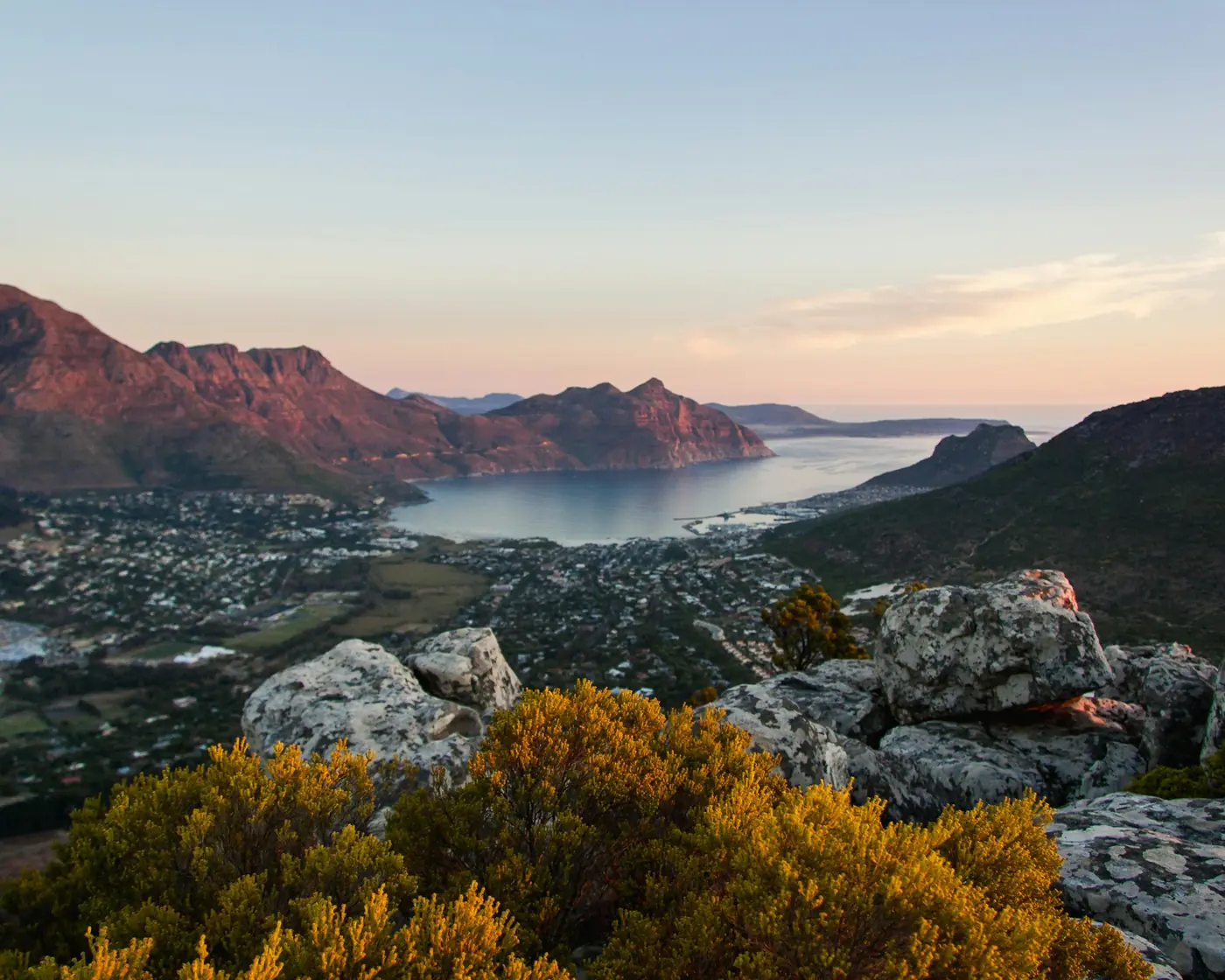 Evening light over a bay and a coastal town below a rocky mountain, with fynbos in the foreground