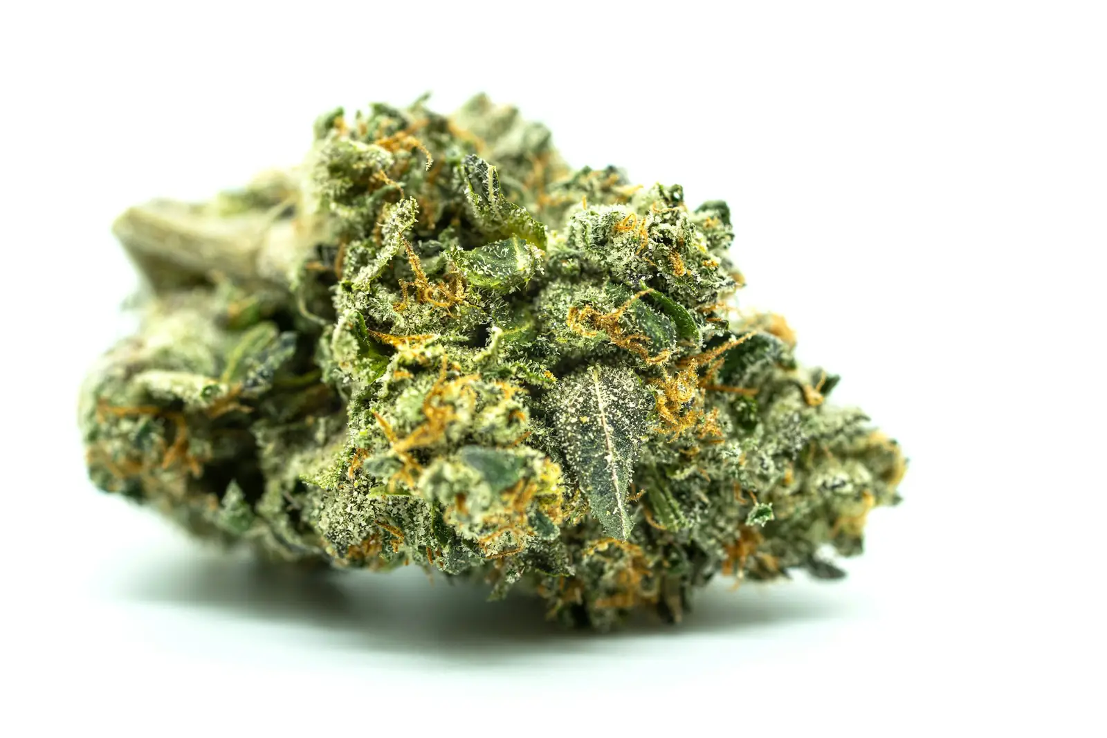 A single dried cannabis bud with orange hairs on a white surface