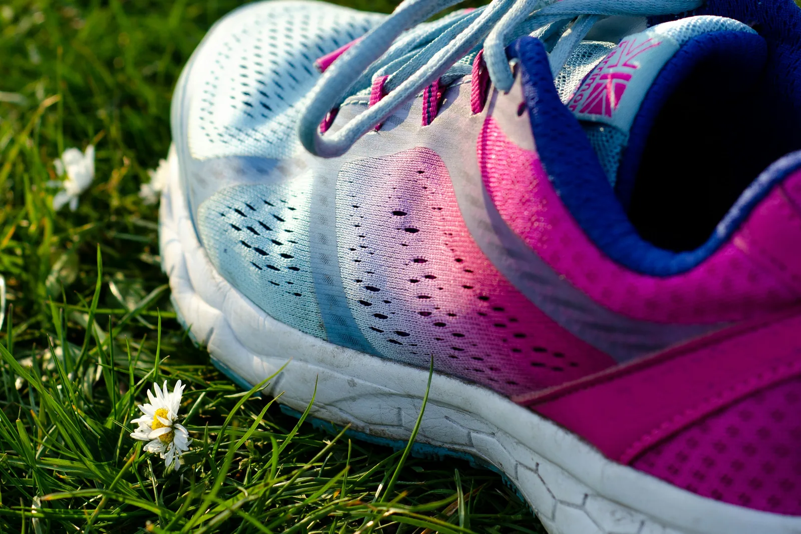 A blue and pink running shoe on grass with small daisies