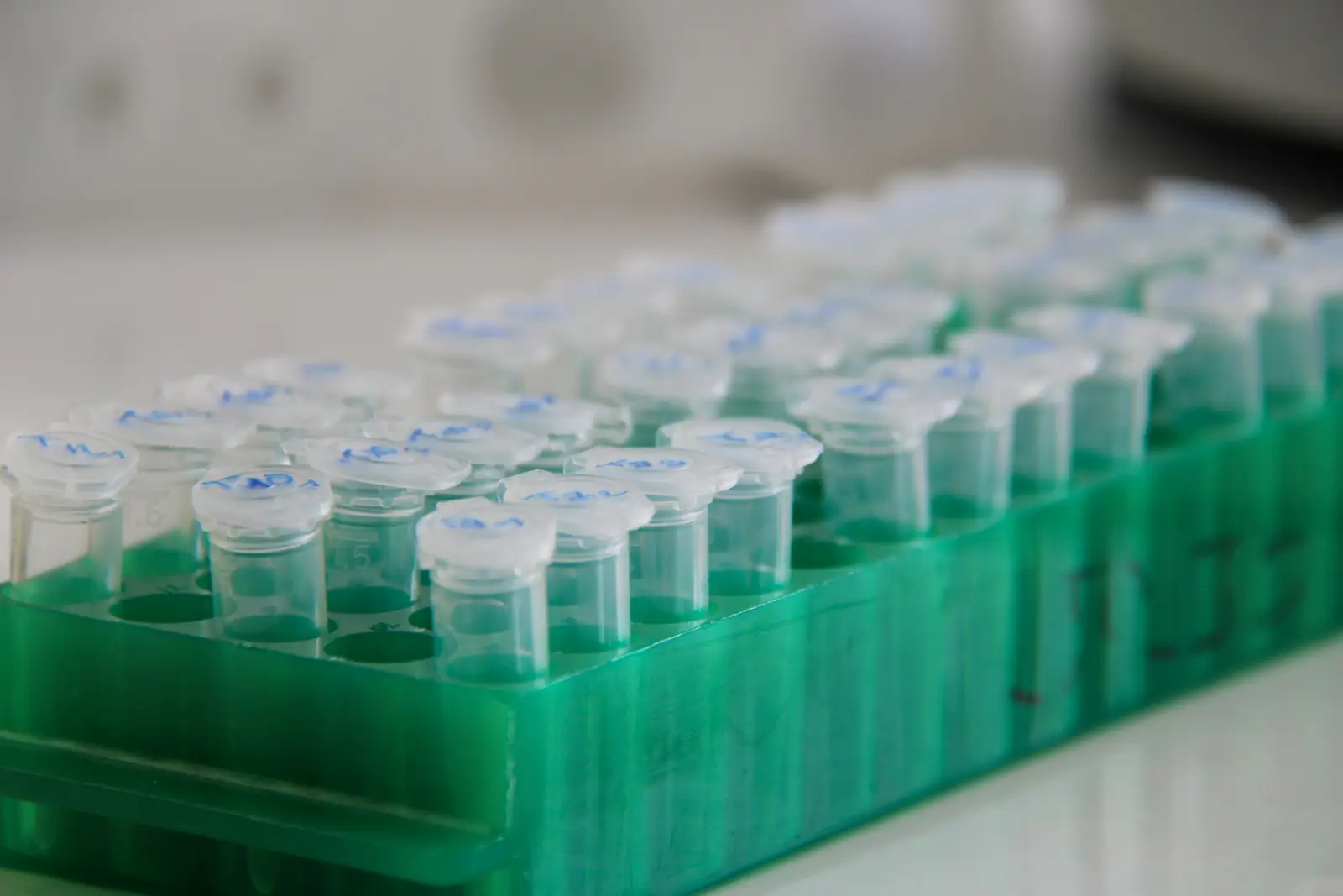 Rows of small sample tubes in a green rack on a bright laboratory bench