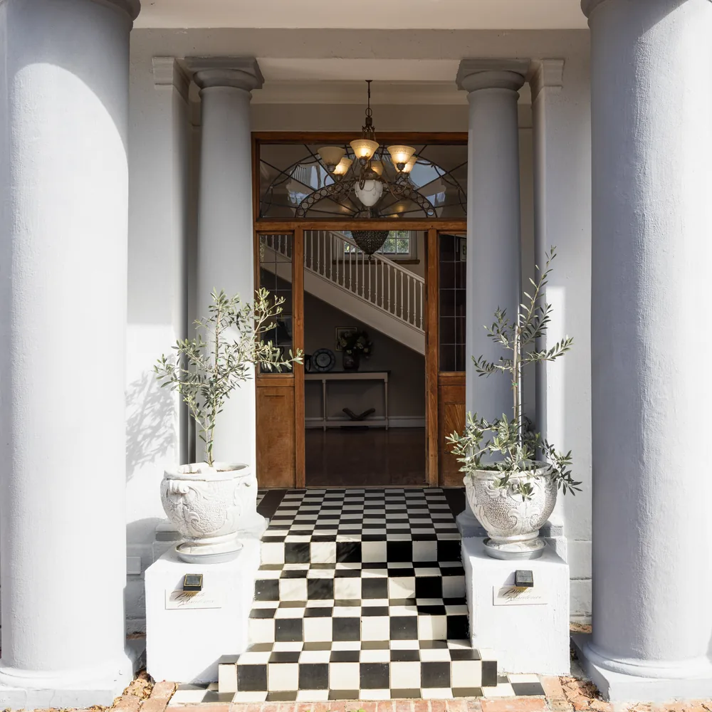 The bright front entrance of Renewed Life Center with potted olive trees