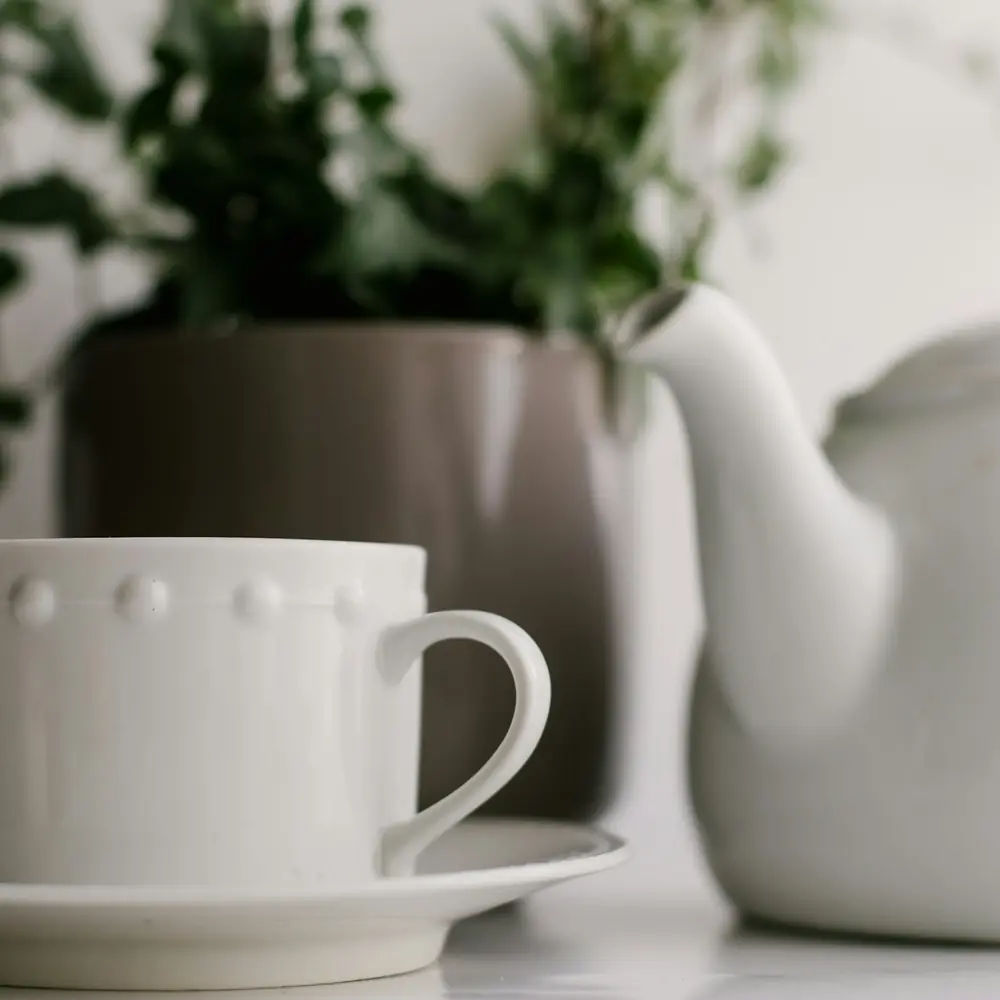 A white cup and saucer beside a white teapot and a green plant on a bright table